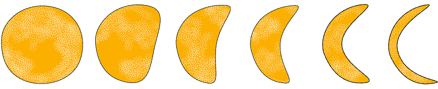 icon image